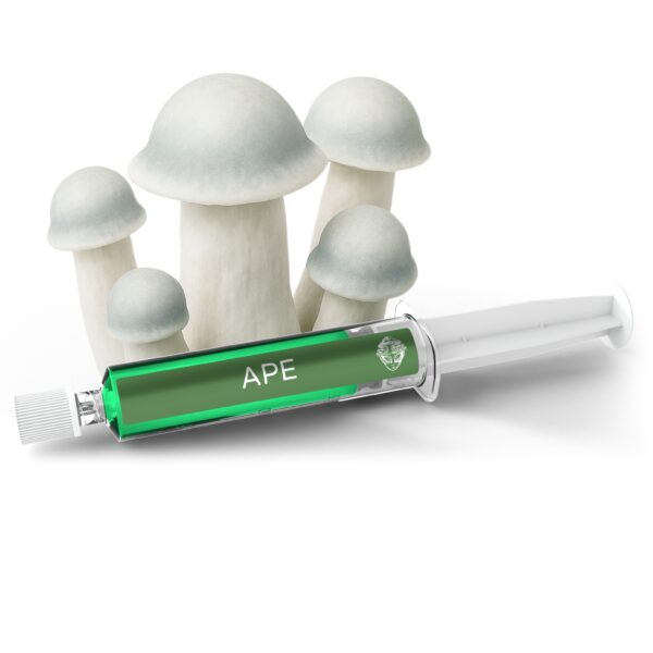 APE Mushroom Strain
