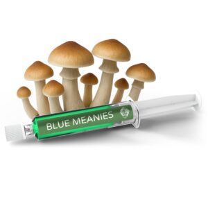 Blue Meanies