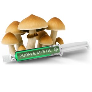 Purple Mystic Spore Syringe (Potent Cubensis Variety)